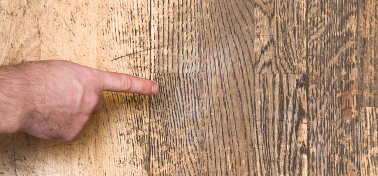 Wood Door Scratch Repair in Danville